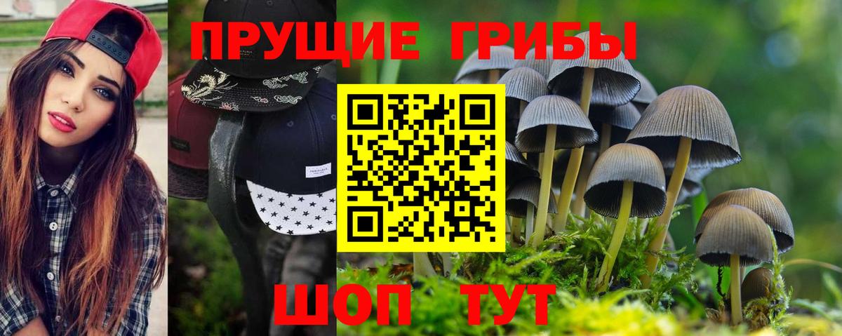 Псилоцибиновые грибы GOLDEN TEACHER Белово